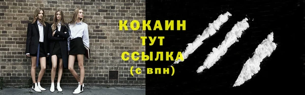 твердый Яранск