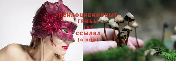 jwh Зерноград