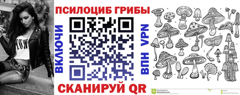 Псилоцибиновые грибы Psilocybe  наркотики  Себеж 